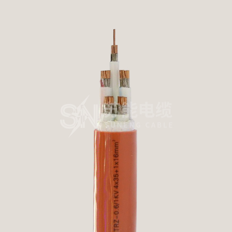 特種電纜